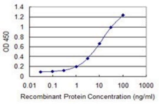 Monoclonal Anti-MSL2L1 antibody produced in