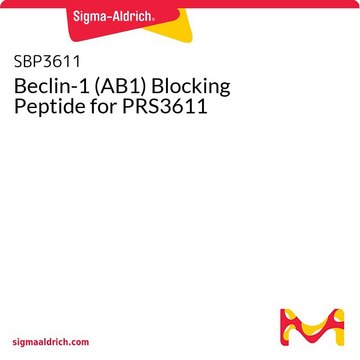 Beclin-1 (AB1) Blocking Peptide for