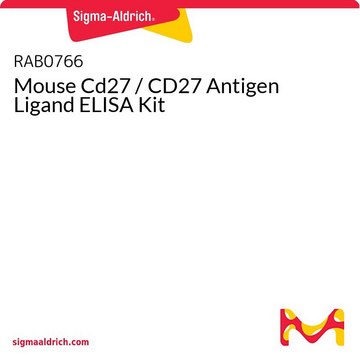 Mouse Cd27 / CD27 Antigen