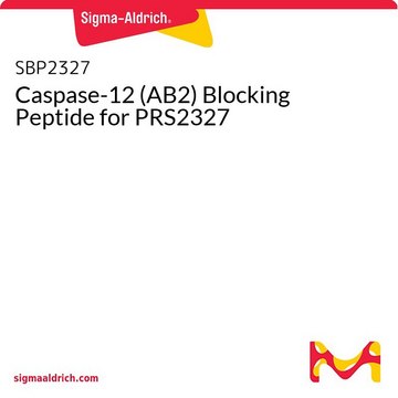 Caspase-12 (AB2) Blocking Peptide for