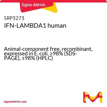 IFN-LAMBDA1 human