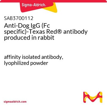 Anti-Dog IgG (Fc specific)-Texas Red®