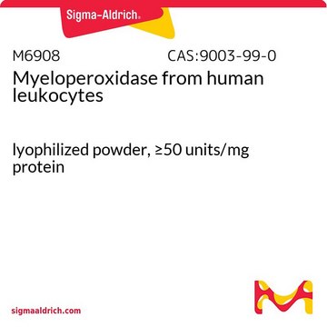 Myeloperoxidase from human leukocytes
