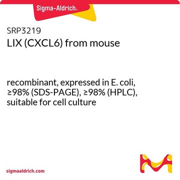 LIX (CXCL6) from mouse