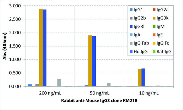 Anti-Mouse IgG3-Biotin antibody, Rabbit monoclonal