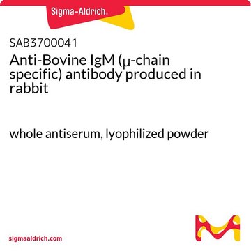 Anti-Bovine IgM (?-chain specific) antibody