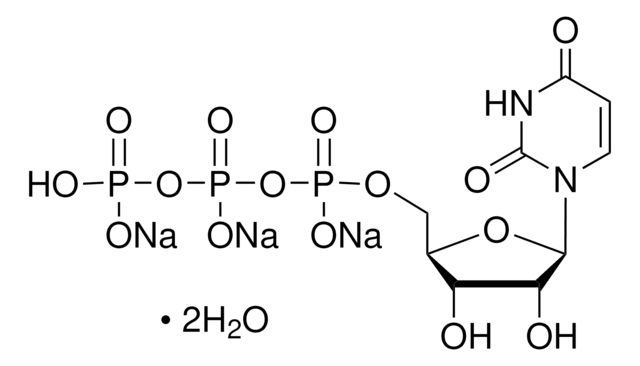 Uridine 5?-triphosphate trisodium salt dihydrate