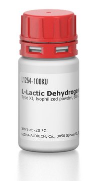 ?-Lactic Dehydrogenase from rabbit muscle