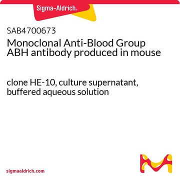 Monoclonal Anti-Blood Group ABH antibody