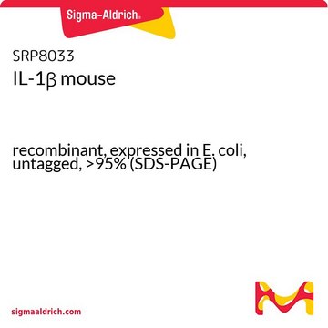 IL-1? mouse
