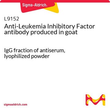 Anti-Leukemia Inhibitory Factor antibody produced