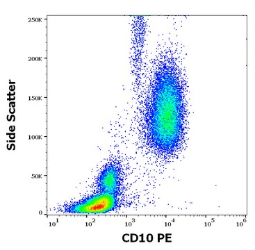 Monoclonal Anti-CD10-PE antibody produced in