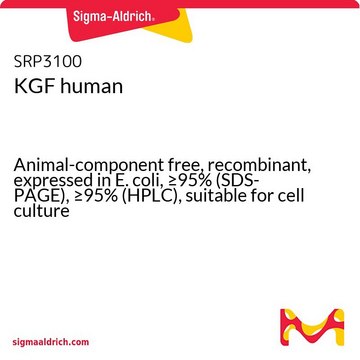KGF human