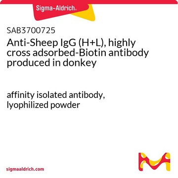 Anti-Sheep IgG (H+L), highly cross