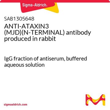 ANTI-ATAXIN3 (MJD)(N-TERMINAL) antibody produced in