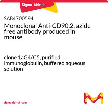 Monoclonal Anti-CD90.2, azide free antibody
