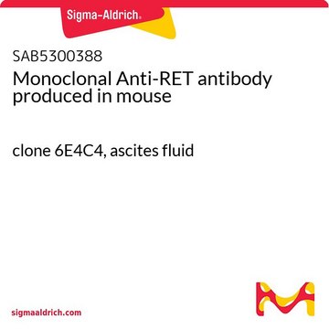 Monoclonal Anti-RET antibody produced in