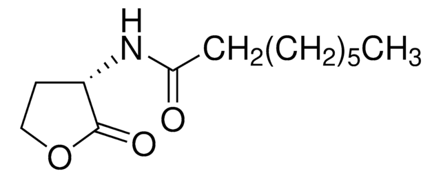 N-Octanoyl-?-homoserine lactone