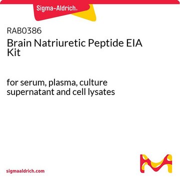 Brain Natriuretic Peptide EIA Kit