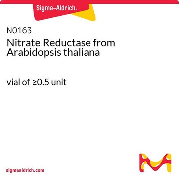 Nitrate Reductase from Arabidopsis thaliana