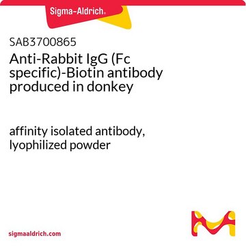 Anti-Rabbit IgG (Fc specific)-Biotin antibody