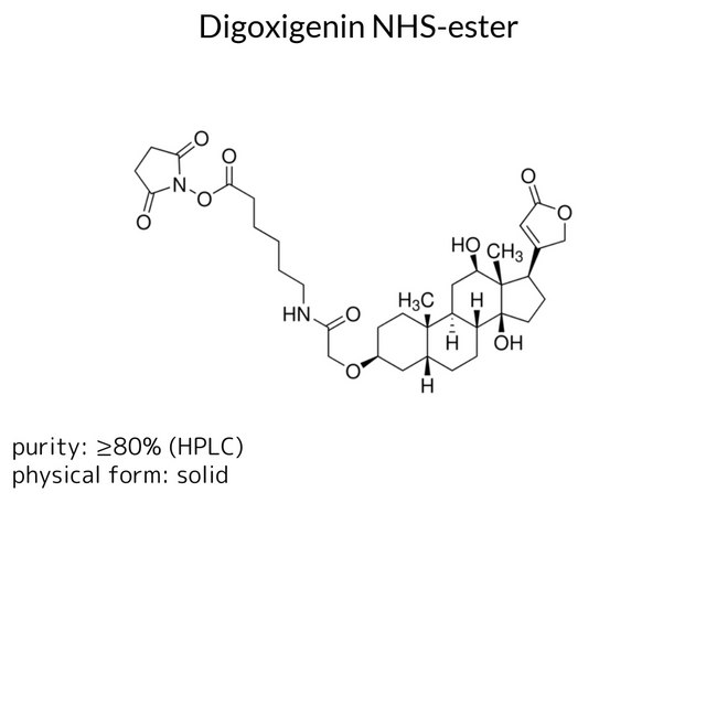 Digoxigenin NHS-ester