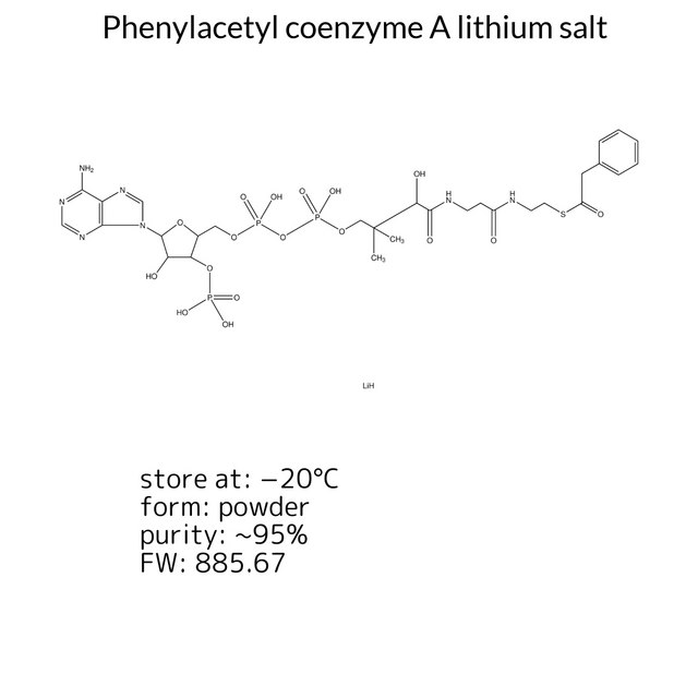 Phenylacetyl coenzyme A lithium salt